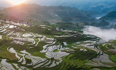 开云体育登录-包含呼和浩特青巴布虎对决重庆稻田，实力对比明显的词条