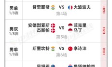 开云官网-瑞士队在客场对阵扎拿时表现出色，赢得比赛的简单介绍