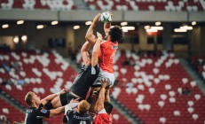 开云体育官网-孤星闪耀，蒂姆以美网之冠，独扛戴维斯杯之旗