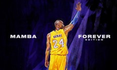 开云官网-波尔一人点亮北欧夜空，奥地利高效闪电战轻取瑞典！