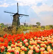 荷兰传奇重回巅峰，横扫爱沙尼亚