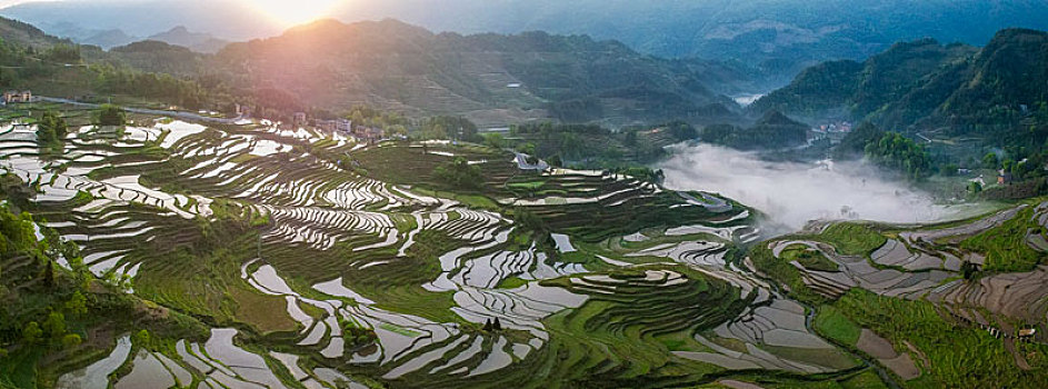 包含呼和浩特青巴布虎对决重庆稻田,实力对比明显的词条 包含呼和浩特青巴布虎对决重庆稻田,实力对比明显的词条