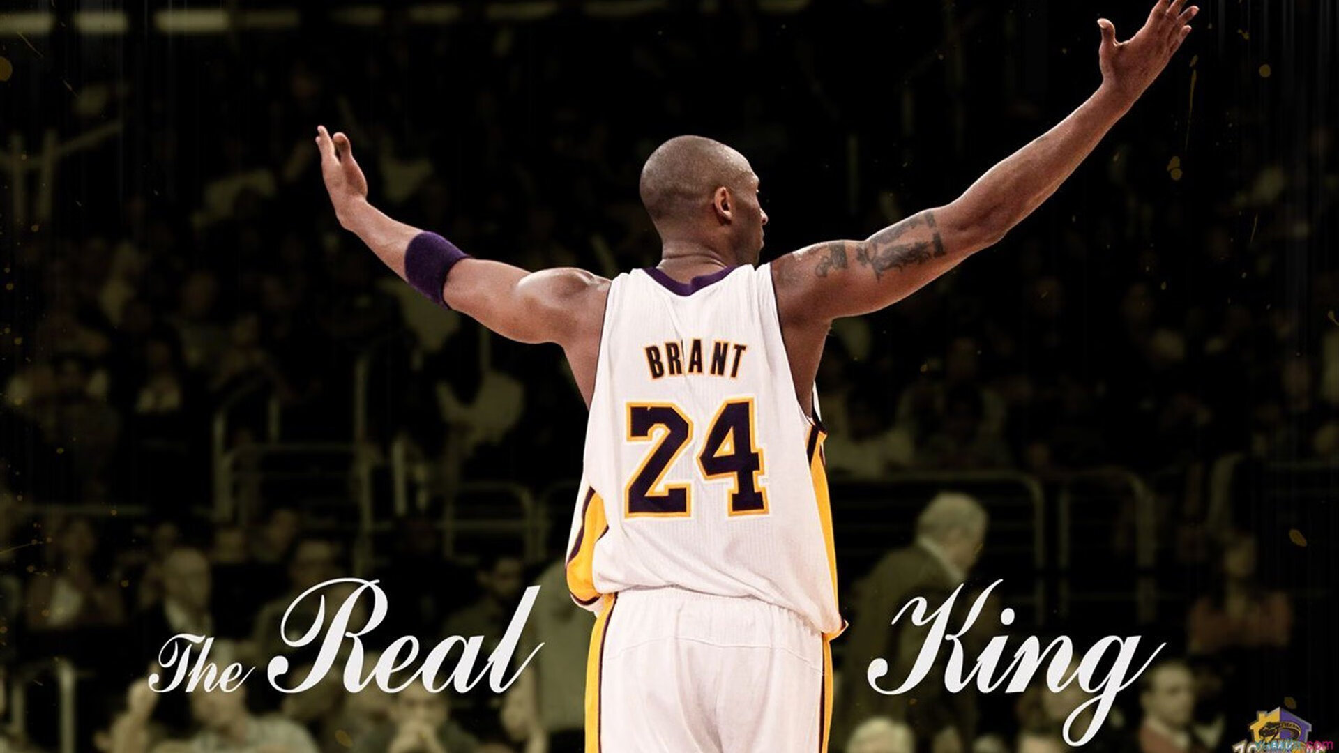 一记绝杀定乾坤,深圳外援米切尔现象级表现力擒芝加哥公牛